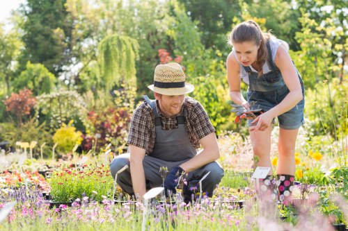 Gardener pruning shrubs in a Turnham Green terrace garden